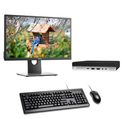 KIT MONITOR + MINI PC HP 800 G3 (Intel Core i5-6500T 8Gb 256Gb SSD) + Teclado & Mouse Reacondicionado Grado A